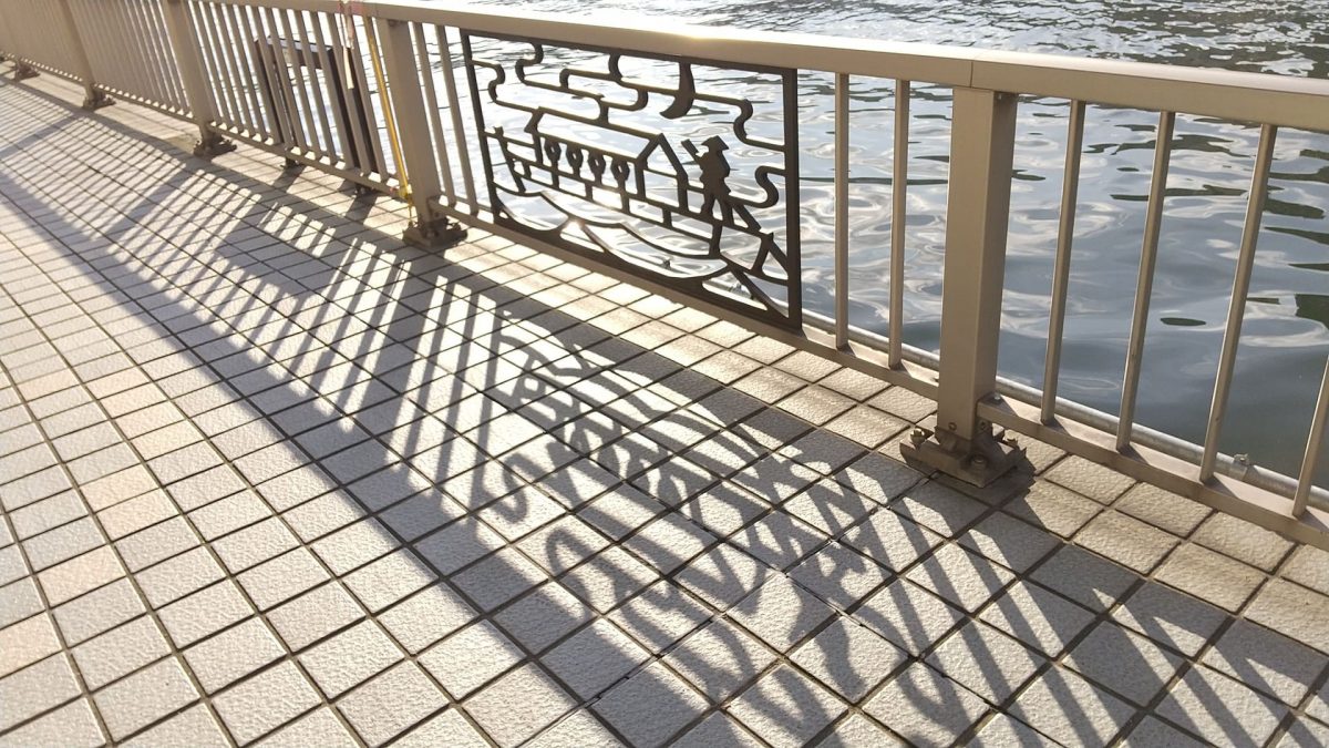 beautiful shadow